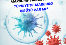 Marburg Virüsü Nedir? Türkiye’de Marburg Virüsü Var mı?