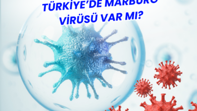 Marburg Virüsü Nedir? Türkiye’de Marburg Virüsü Var mı?